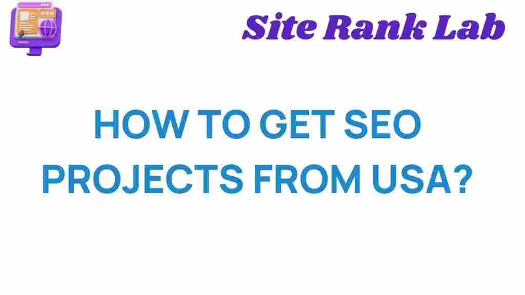 seo-projects-from-usa
