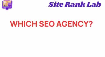 Which SEO Agency Will Elevate Your Online Presence?