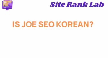 Unveiling Joe SEO: Is He the Korean Genius Behind Your Rankings?